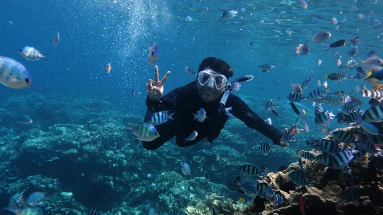 Tulum y nado con tortugas en Akumal